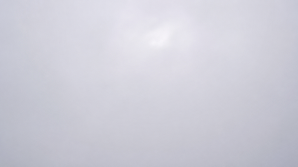 Nebbia